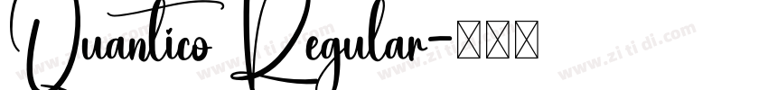Quantico Regular字体转换